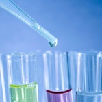 Комплекс «Система пищеварения»