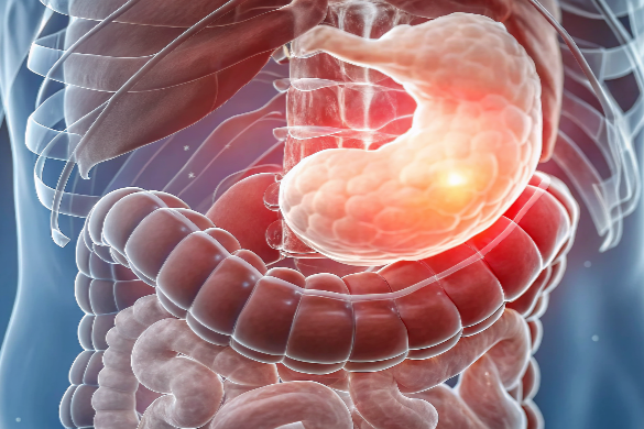 gastroenterology-resized.png