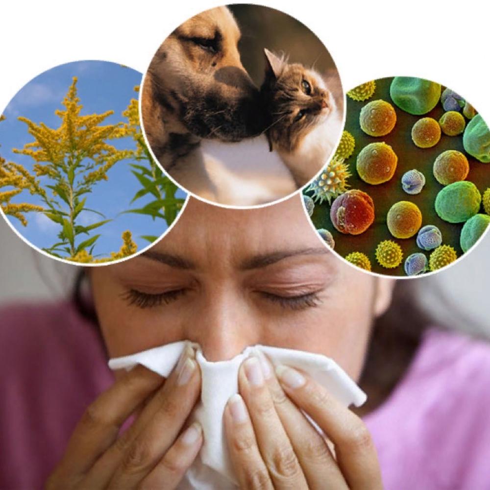 Сезонная аллергия виды.jpg