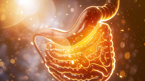 Язвенная болезнь желудка