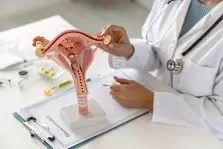 Профилактический осмотр гинеколога 