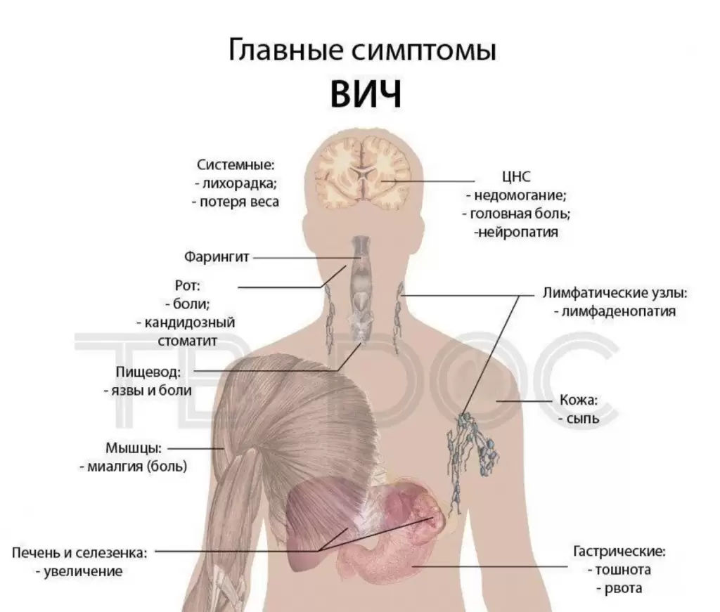 Правда ли, что в первый раз должно быть больно | Купрум